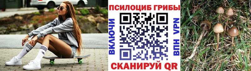 Купить закладки  Губкинский  Псилоцибиновые грибы мухоморы 